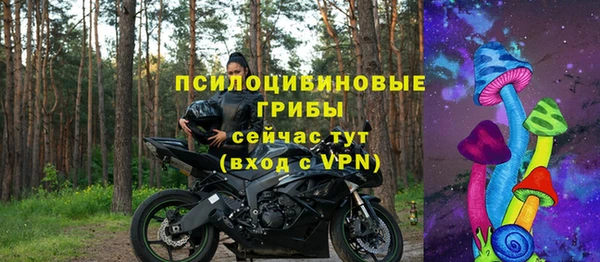ПСИЛОЦИБИНОВЫЕ ГРИБЫ Балабаново